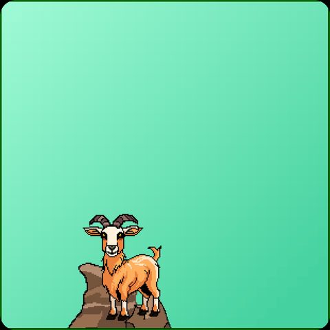 Goat #350