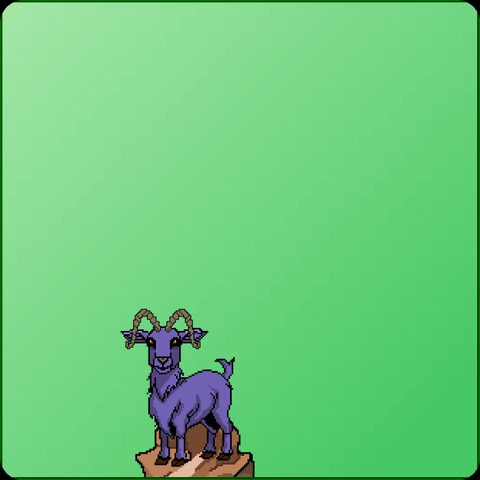 Goat #490